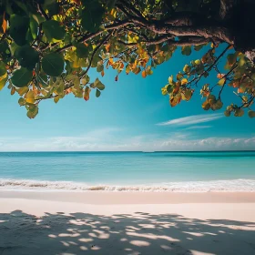 Tranquil Beach with Turquoise Water