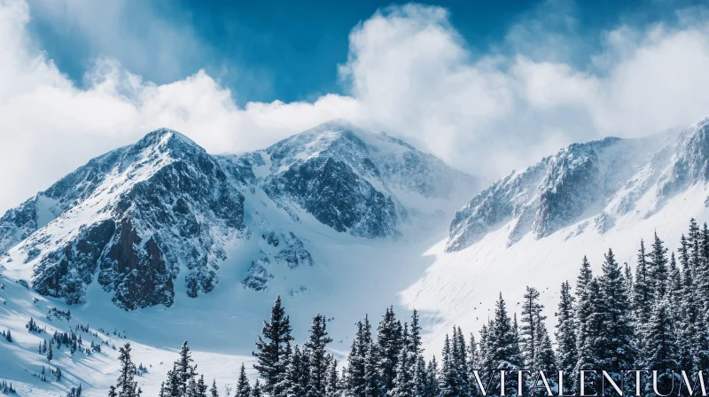 Winter Mountain Scene with Evergreen Trees AI Image