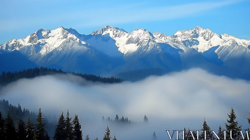 Mountain Range with Foggy Forest Landscape