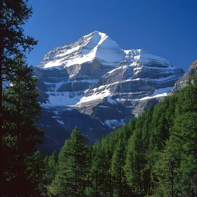 Snowy Mountain and Forest Landscape