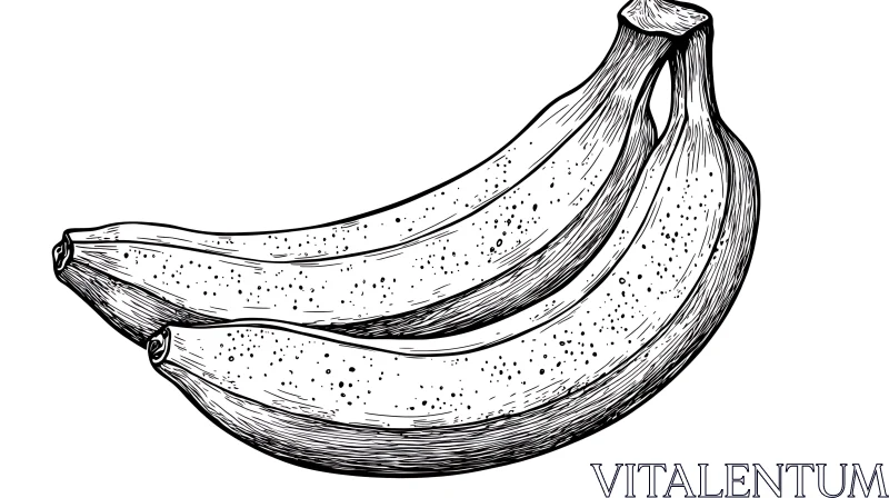 Three Bananas in Black and White Sketch AI Image