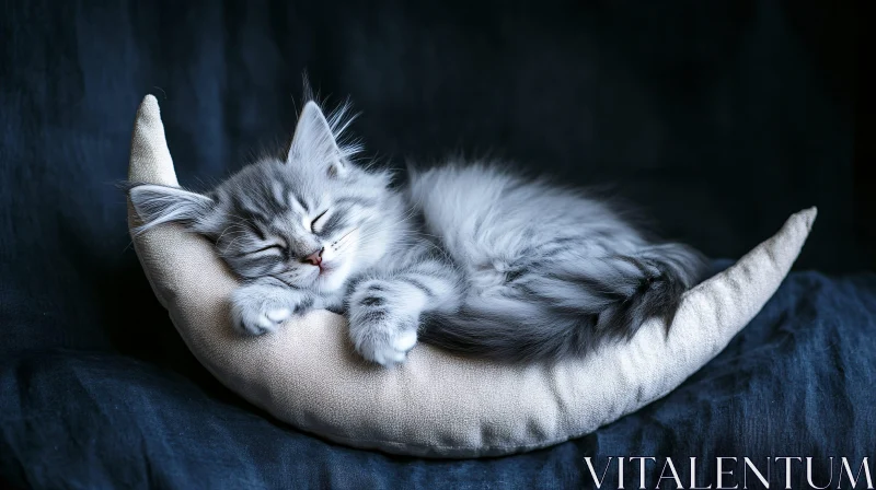 AI ART Cute Fluffy Kitten Resting on Crescent Pillow