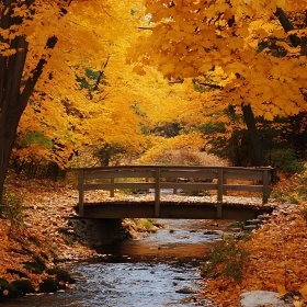 Fall Forest Scene with Rustic Bridge Above Stream