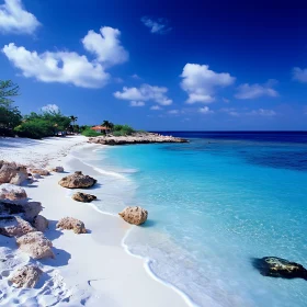 Tropical Beach Paradise