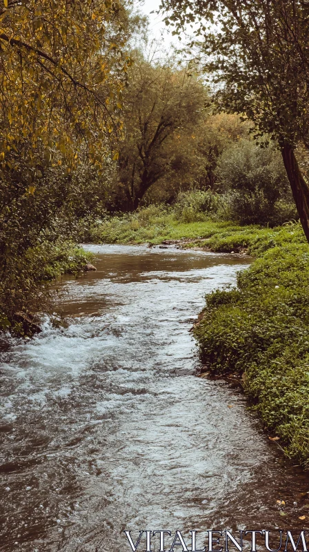 AI ART Tranquil River Surrounded by Verdant Trees