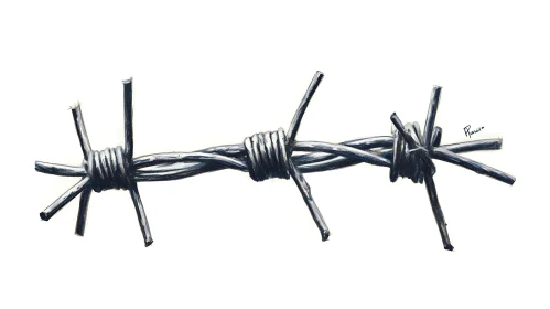 Metallic Barbed Wire on White