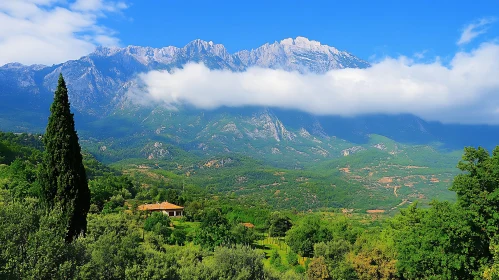 Lush Valley and Mountain Peaks