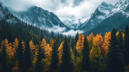 Snowy Peaks Above Autumnal Forest