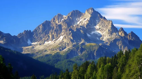 Scenic Mountain View with Lush Forest