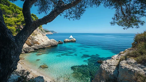 Tranquil Beach Scene with Clear Water and Boat