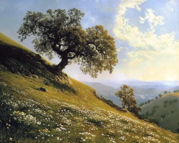 Peaceful Meadow Scene with Distant Mountains