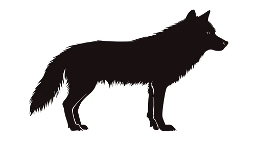 Elegant Wolf Shape on White Background