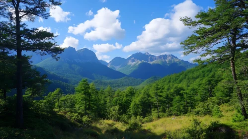 Green Mountains and Blue Sky