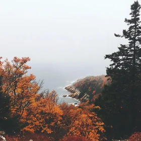 Misty Autumn Coastline with Colorful Foliage