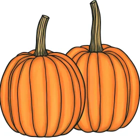Pair of Pumpkins Illustration