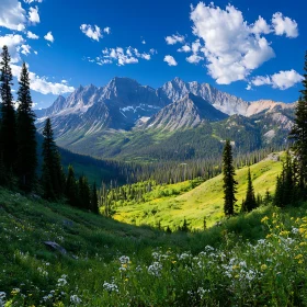 Verdant Valley Leading to Mountain Peaks