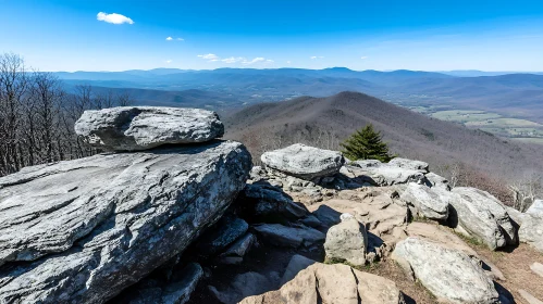 Scenic Mountain Landscape with Rocks