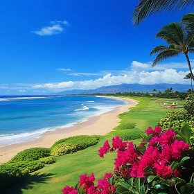 Coastal Paradise: A Tranquil Beach Landscape