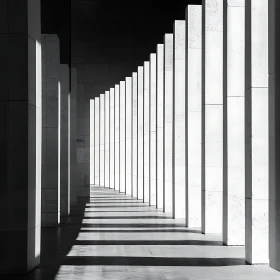 Architectural Column Array in Monochrome