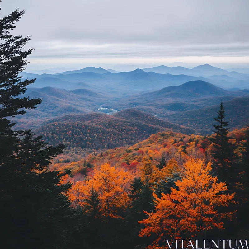 Blue Ridge Mountains in Fall AI Image