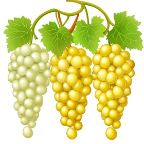 Three Bunches of Grapes