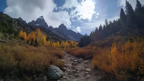 Autumn Mountain Trail