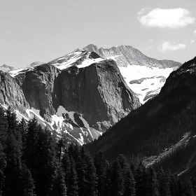 Snowy Peaks and Forest Vista