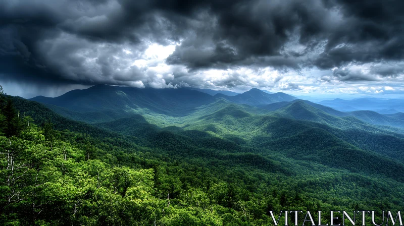 Lush Forest Under Ominous Clouds AI Image