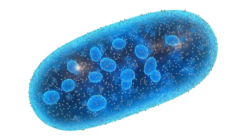 Microscopic Cell Visualization