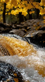 Golden Autumn River Scene