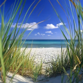 Coastal Scene Framed by Greenery