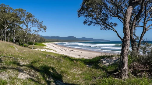Coastal Beach View