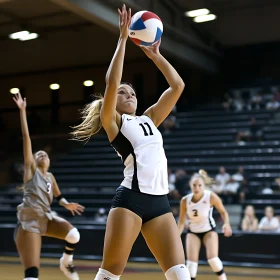 Athlete in Action: Volleyball Game