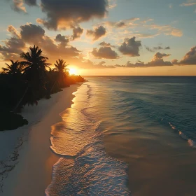 Tropical Beach Sunset with Palm Trees