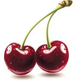 Pair of Ripe Cherries with Stems