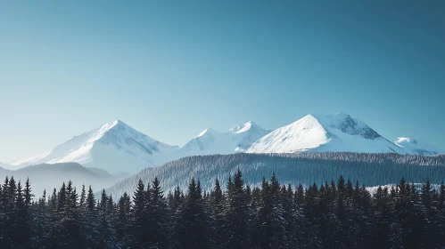 Winter Mountain Scene with Forest