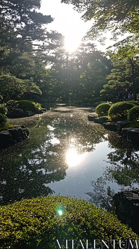 Peaceful Sunlit Pond in Natural Setting