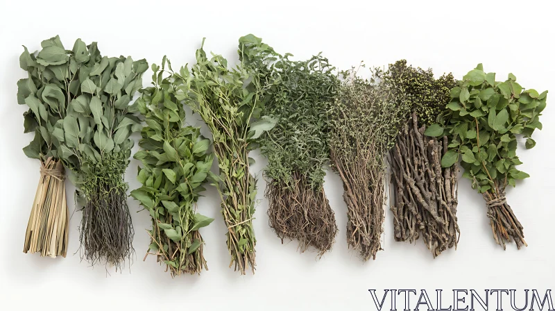Bundles of Aromatic Herbs