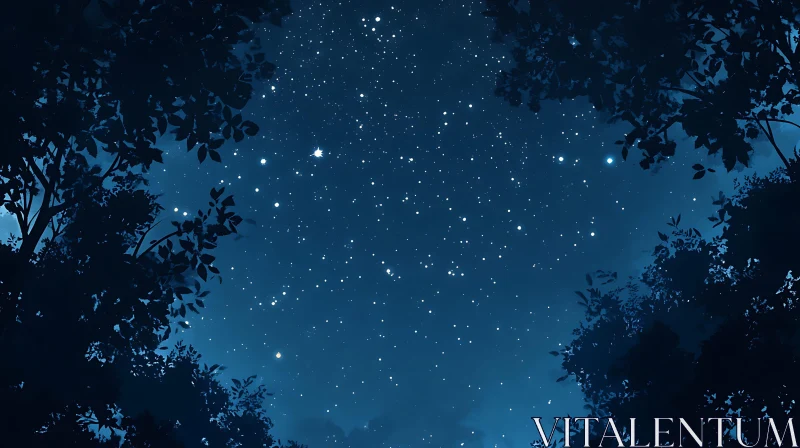 Starry Night Through Forest Canopy