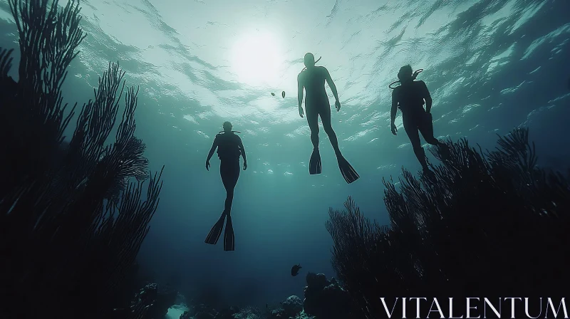 Underwater Diving Adventure
