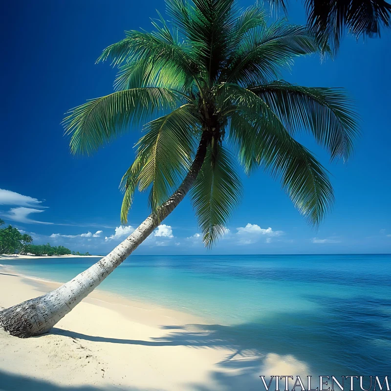 AI ART Seaside Palm Tree Serenity