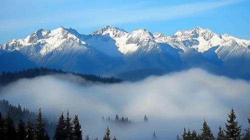 Mountain Range with Foggy Forest Landscape