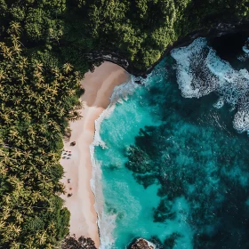 Island Beach Meets Turquoise Ocean