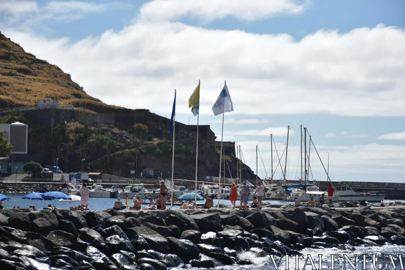 Sunlit Beach and Sailboats in Madeira, Portugal Free Stock Photo