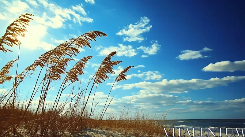 Coastal Grass Under Blue Sky AI Image