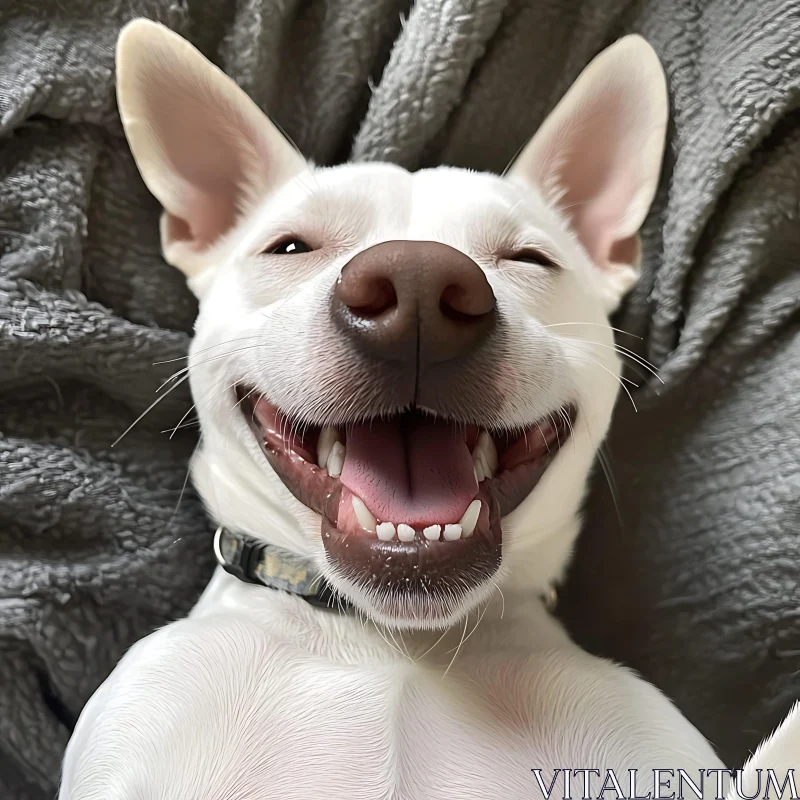 Happy White Dog on Gray Blanket AI Image