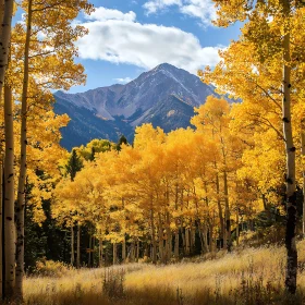 Golden Trees and Mountain View