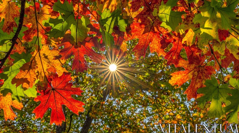 Autumn Foliage and Sunburst AI Image