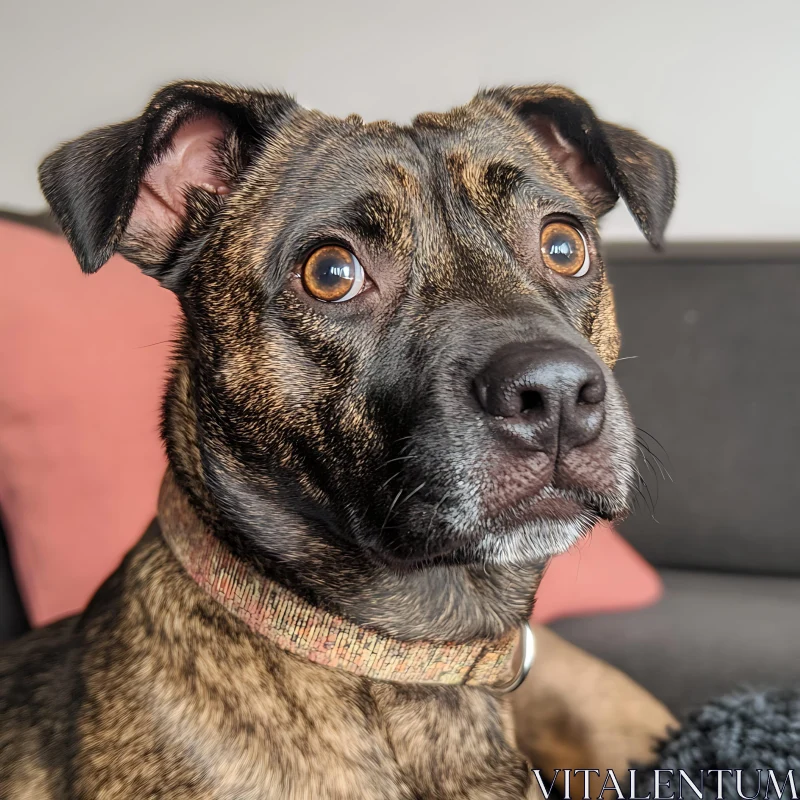 Brindle Dog Close-Up Portrait AI Image