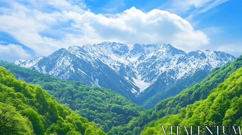 Mountain Peaks and Forest Landscape AI Image